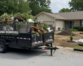Debris Removal Service